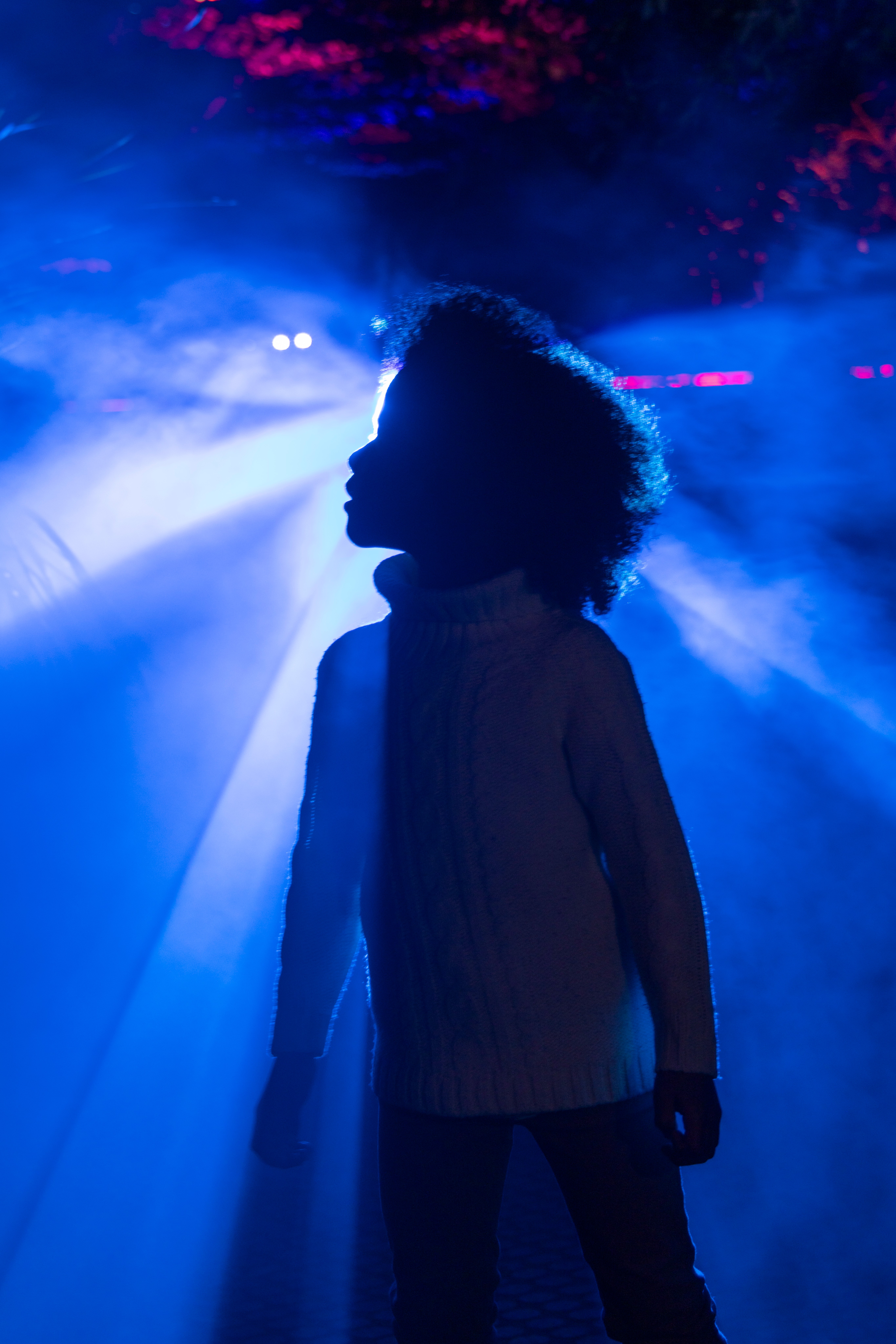 L'Art dans la Nature