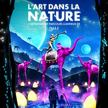 L'Art dans la Nature - Dal&iacute; Universe